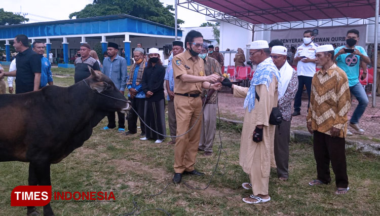 Pemkab Pulau Morotai Serahkan Ekor Hewan Kurban Secara Simbolis