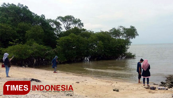 Pantai Kutang Lamongan Jawa Timur yang memiliki spot unik dan pemandangannya menyejukkan mata. (Foto : Dokumen for TIMES Indonesia).