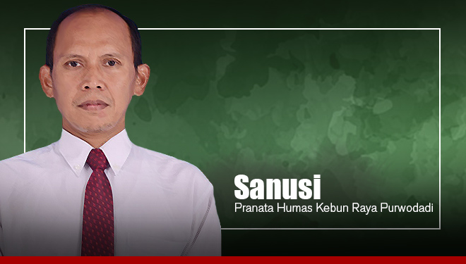 Sanusi, Pranata Humas Kebun Raya Purwodadi Lembaga Ilmu Pengetahuan Indonesia. (Grafis: TIMES Indonesia)