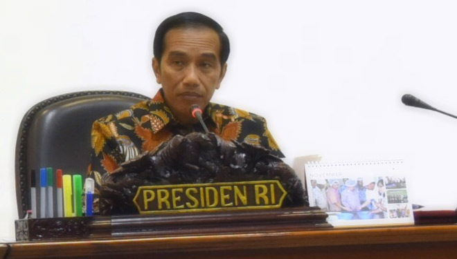 Presiden Joko Widodo (Foto: setkab)