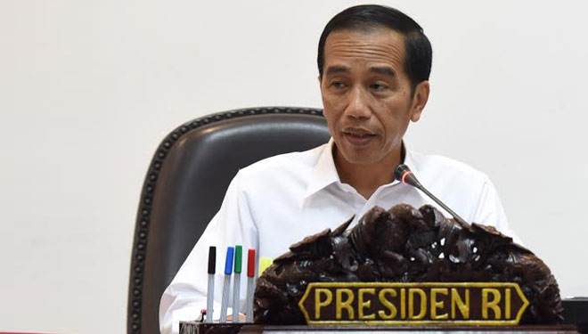 Presiden RI Jokowi (Joko Widodo) (Foto: Setkab RI for TIMES Indonesia)