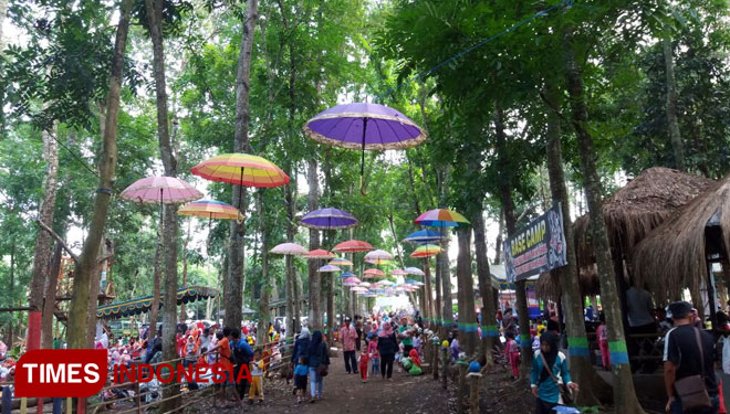Kotok-Forest-A.jpg