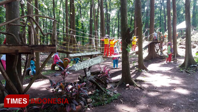 Kotok Fororest Wisata Alam Yang Komplit Times Banyuwangi