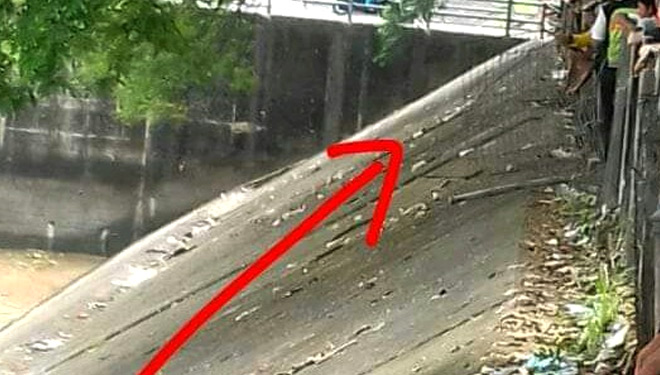 MOBIL-NYEMPLUNG.jpg