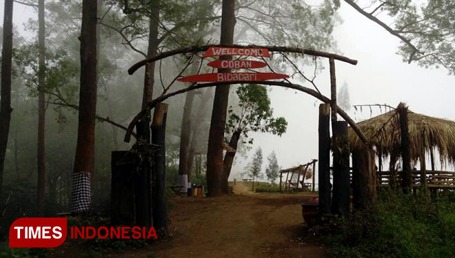 Salah satu spot foto di Coban Bidadari yang ada di Kecamatan Poncokusumo, Kabupaten Malang. (FOTO: ajp.TIMES Indonesia)