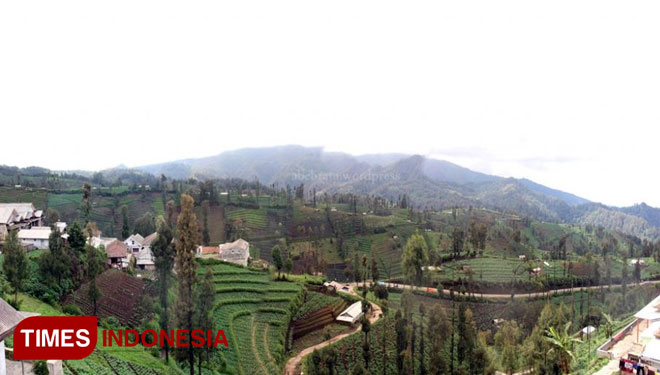 Pemandangan Desa Ngadas, Kecamatan Poncokusumo, Kabupaten Malang (FOTO: ajp.TIMES Indonesia)