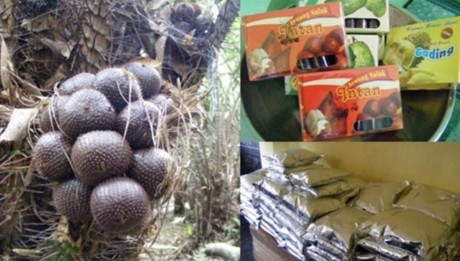 Agro Salak Swaru sebagai pusat oleh-oleh khas Malang (FOTO: Istimewa)