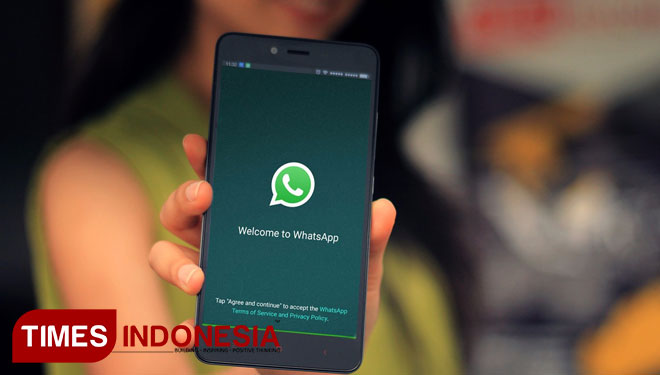 ILUSTRASI: Whatsapp (Desain: TIMES Indonesia)