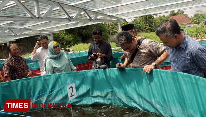 Budidaya-lelee.jpg