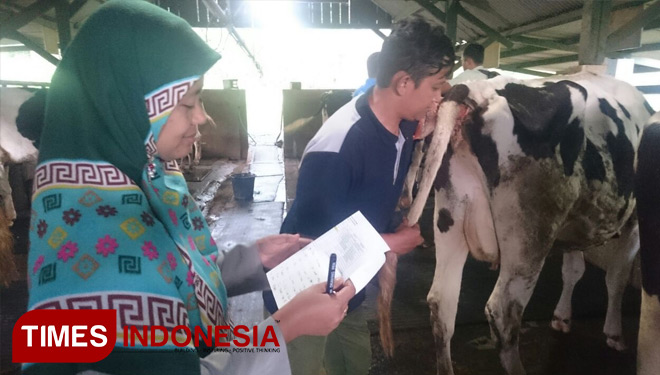 Download 780 Gambar Embrio Sapi Terbaru HD