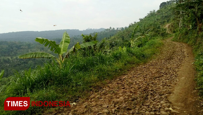 Jalan.jpg