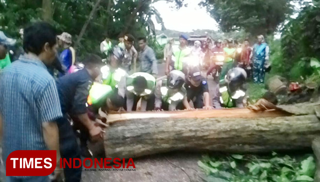 Pohon Tumbang Hambat Arus Lalu Lintas