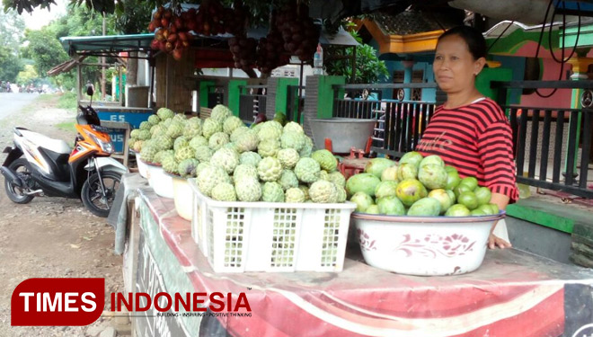 Kembangkan Wisata Petik Buah Srikaya, Pemdes Kotakan Perkuat Ekonomi Kreatif
