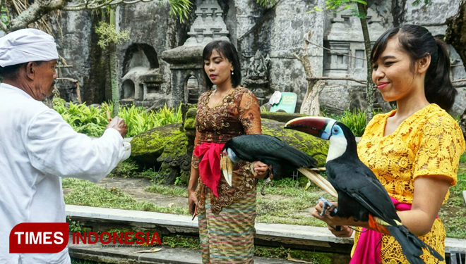 Bali Safari And Marine Park Lakukan Ritual Tumpek Kandang Times Indonesia