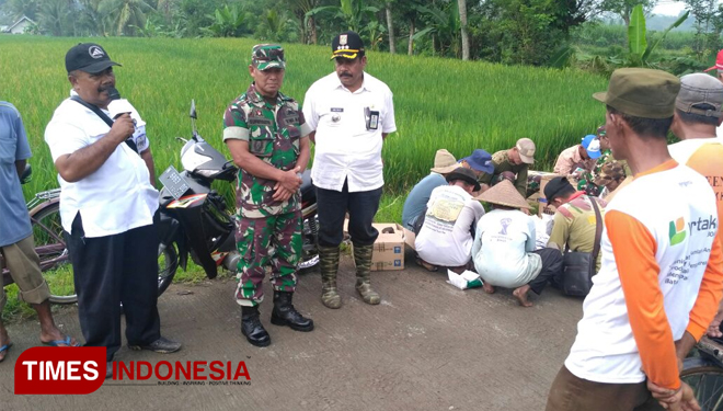 Salah satu kegiatan pemberantasan hama yang melibatkan banyak pemuda menjelang panen padi adalah upaya meningkatkan produksi pertanian. (FOTO: Widodo irianto/TIMES Indonesia)