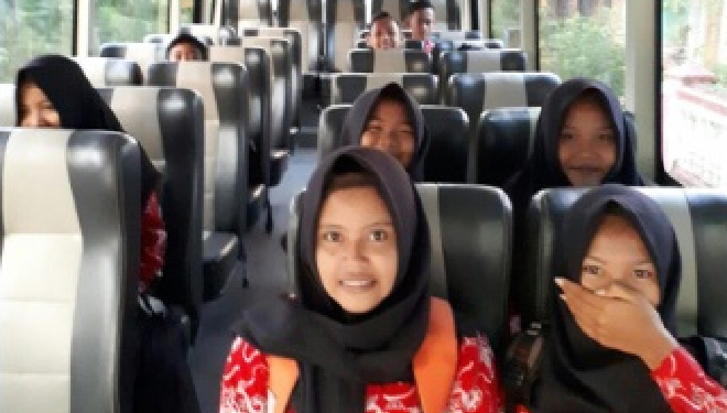 bus.jpg