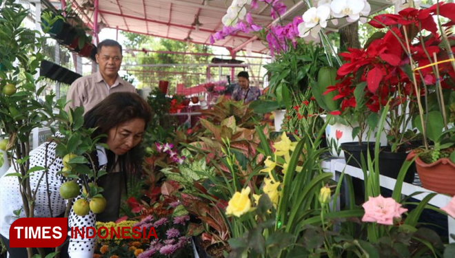 Aneka Tanaman  Hias  di  Fresh Market Citraland TIMES Indonesia 