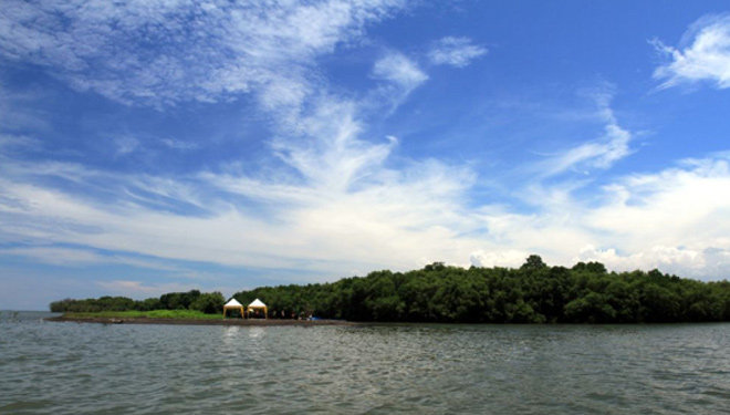 Pemkab Probolinggo Akan Sulap Pulau Pasir Jadi Tempat Wisata