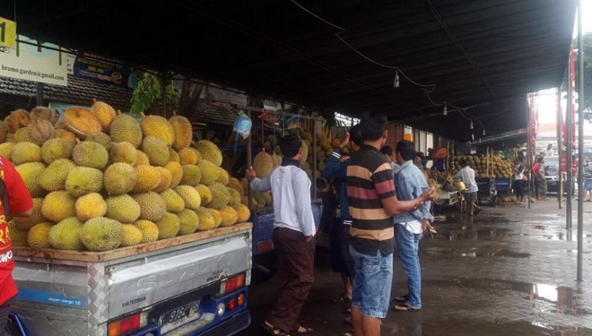 Pedagang durian berkumpul di Rest Area Tongas (FOTO: Istimewa)
