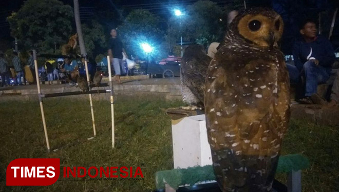 6600 Koleksi Hantu Banyuwangi Gratis Terbaik