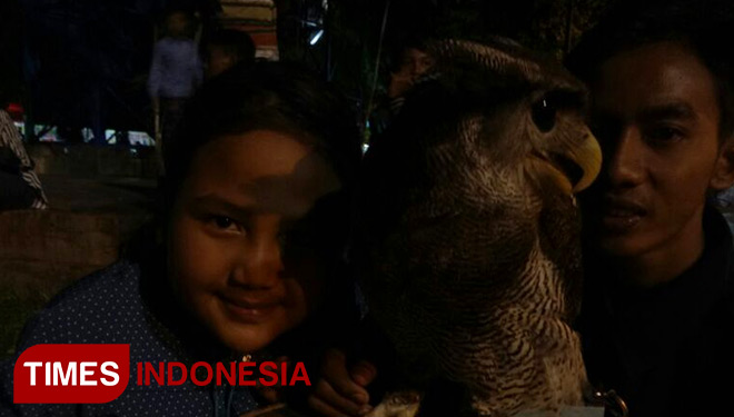 burung-hantu1.safuwan.jpg