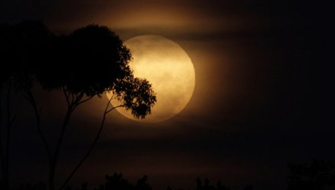 Bad Dream In Moon Eclips
