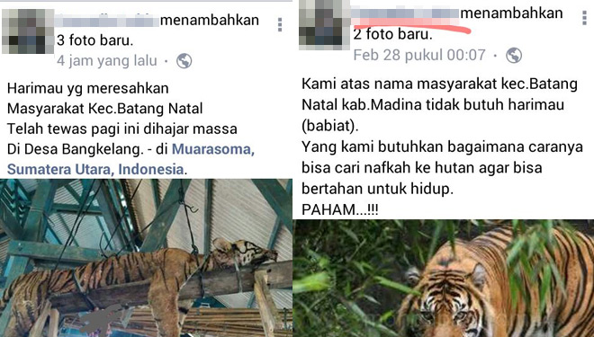 Facebook-Harimau.jpg