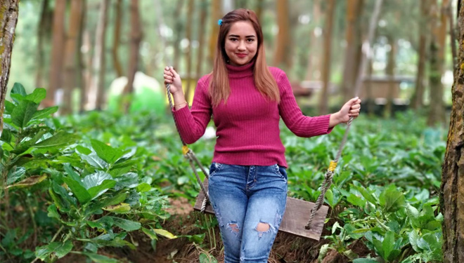 Hutan Alas Pinus Coban Talun Kota Batu. (FOTO: Istimewa)