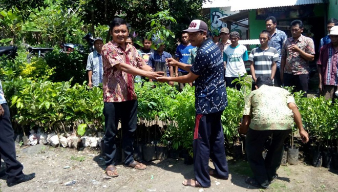 Kepala Desa Kemuningan, Sutapa, saat memberikan bantuan bibit kopi pada masyarakat. (FOTO: Istimewa)
