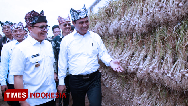 Menteri Pertanian Andi Amran Sulaiman dan Bupati Anas di ladang bawang putih. (FOTO:Humas Pemkab Banyuwangi for TIMES Indonesia)