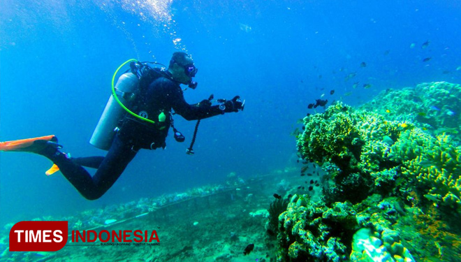 Pengunjung melakukan diving di Bangsring Underwater. (FOTO: Humas Pemkab Banyuwangi for TIMES Indonesia)