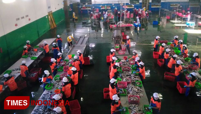 BPOM RI, bersama Kementerian Kelautan dan Perikanan serta Kementerian Perindustrian saat melakukan kunjungan di pabrik pengolahan ikan CV. Pasific Harvest, Kecamatan Muncar, Banyuwangi. (FOTO: Syamsul Arifin/ TIMES Indonesia)