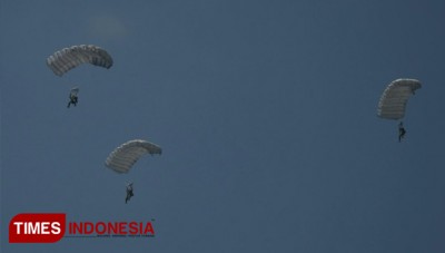 Spectr News Theme