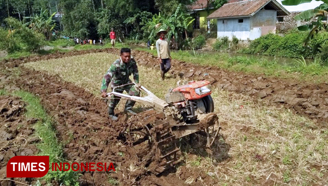 Gunakan Traktor, Satgas TMMD Bantu “Nyingkal” Sawah Dilokasi TMMD Purbalingga (FOTO: ajp.TIMES Indonesia)