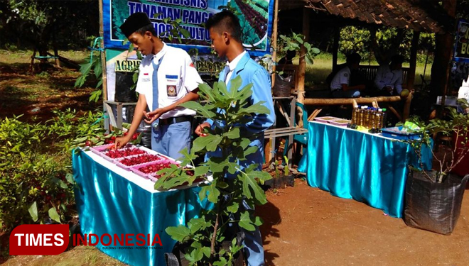 Siswa Jurusan Pertanian memamerkan hasil tanaman yang dibudidayakan di lahan pertanian sekolah (FOTO: Akmal/TIMES Indonesia)