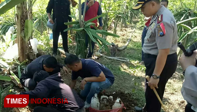 Bandar Miras di Banyuwangi Timbun Stok 1000 Liter Arak Dipekarangan
