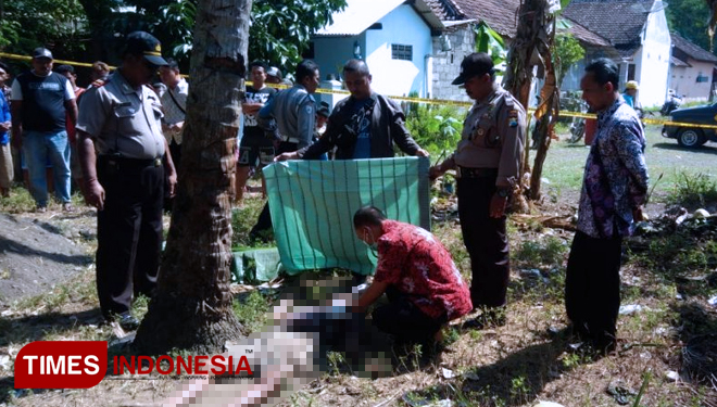Terjatuh dari Pohon Kelapa, Warga Kalipuro Meninggal Dunia