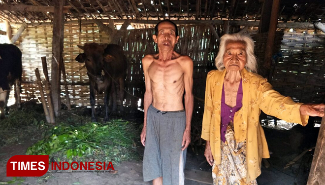 Para janda di dusun Gunung Tumpuk, Desa Sidoluhur, Kabupaten Malang ada yang tinggal di kandang sapi (FOTO: Widodo Irianto/TIMES Indonesia)