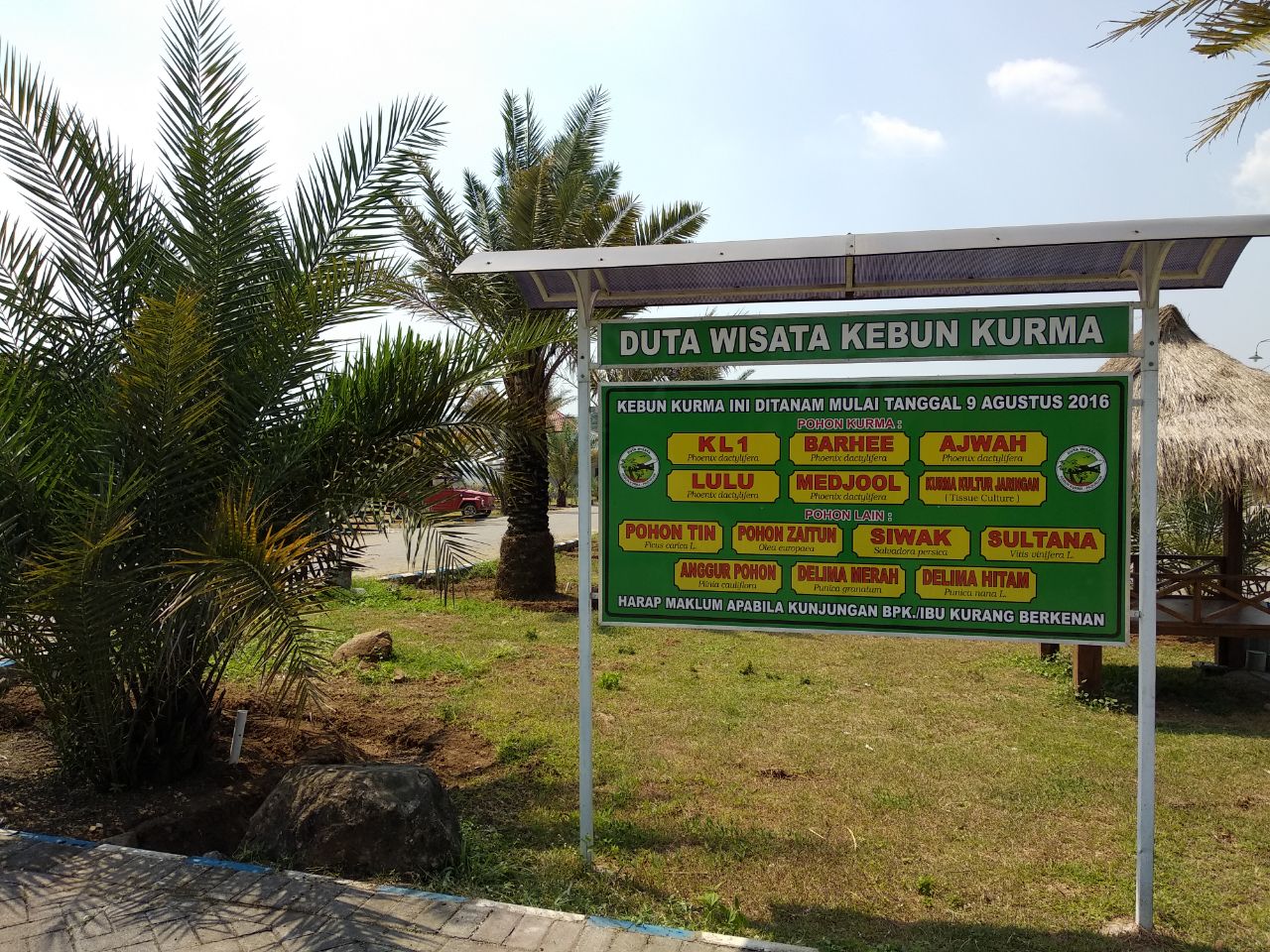 Merasakan Sensasi Timur Tengah Di Wisata Kebun Kurma Pasuruan Times