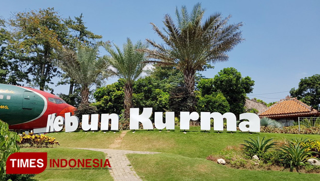 Wisata Kebun Kurma Jawa Timur Tempat Wisata Indonesia