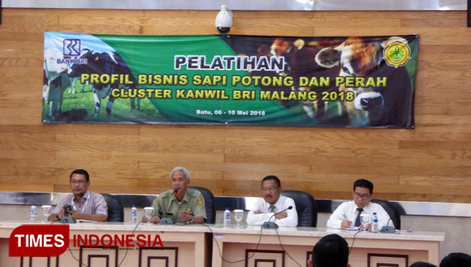 BRI dan BBPP Batu Bersinergi Dongkrak Usaha Sapi Potong dan Perah