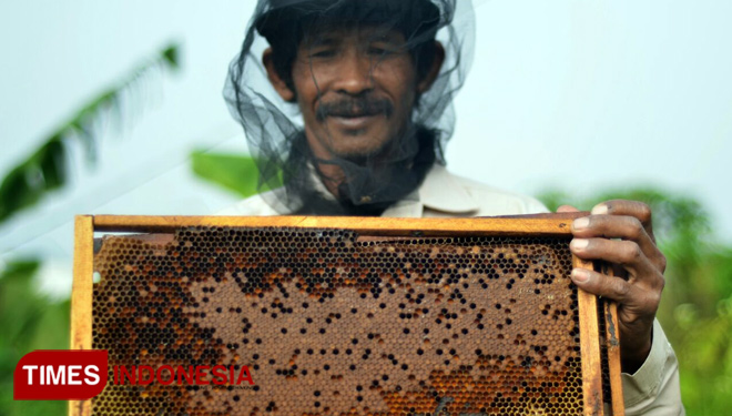 Juwono menunjukan beberapa kotak sarang Lebah madu dan madu yang dipanen, di Desa Ngaglik, Kota Batu. (FOTO : Adhitya Hendra/TIMES Indonesia)