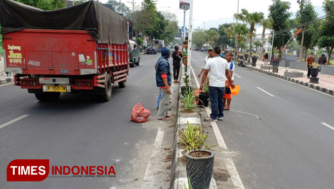 Beberapa pekerja sedang menanam tanaman hias di median Jalan, di depan Balai Kota Among Tani Kota Batu. (FOTO: Ferry/TIMES Indonesia)