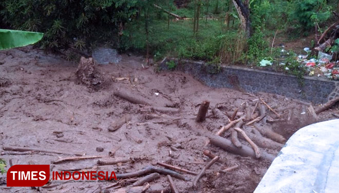 Material kayu terbawa sungai Badeng (FOTO: Rizki Alfian/TIMES Indonesia)