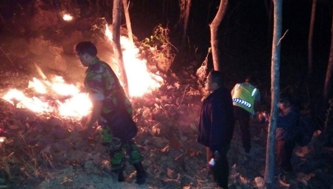 Petugas dari TNI, Polri, BPBD Ponorogo memadamkan api yang membakar hutan Kamis malam. (FOTO: Istimewa)