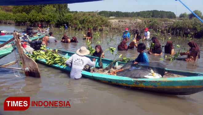 Nelayan berbaur bersama warga ketika menanam mangrove di Teluk Kalimireng, Kecamatan Manyar, Kabupaten Gresik. (FOTO: Akmal/TIMES Indonesia).