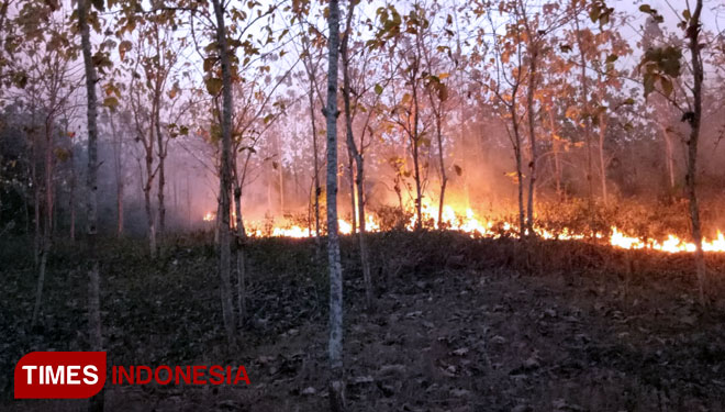 Musim Kemarau, Ada 41 Kebakaran di Bojonegoro