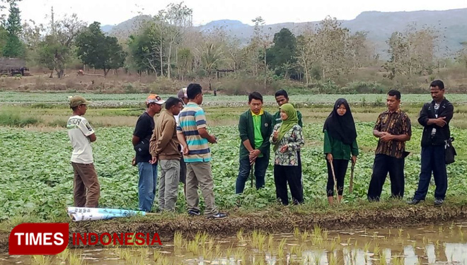 Kegiatan PKM dari dosen STPP Malang di Desa Tohe, Kecamatan Raihat, Kabupaten Belu, NTT.  (FOTO: Humas STPP Malang for TIMES Indonesia)