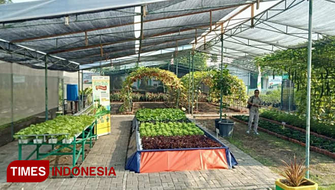 Sistem pertanian modern yang ada di Kompartemen Riset PT Petrokimia Gresik (FOTO: Akmal/TIMES Indonesia)