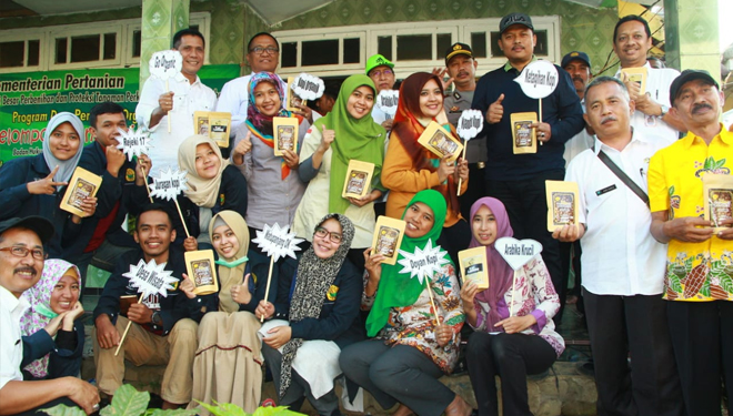 Kebun-Kopi-2.jpg